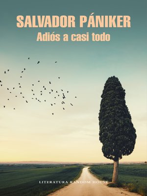 cover image of Adiós a casi todo (Diarios de Pániker 5)